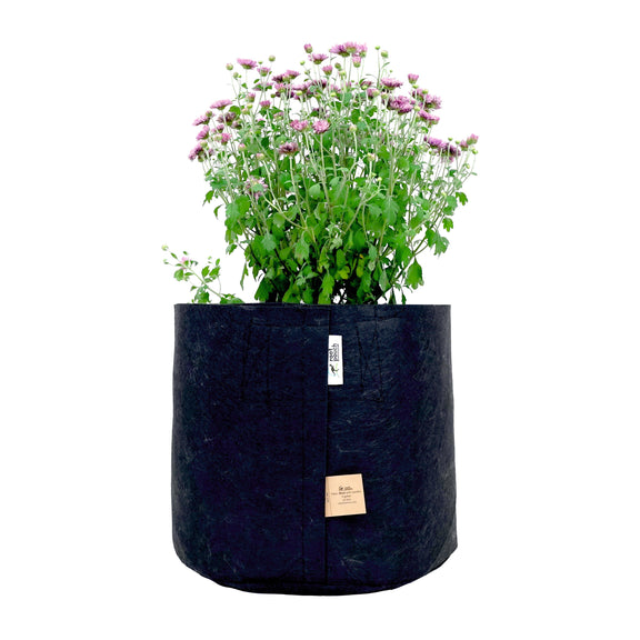 Root Pouch Black With Healthy Growing Plant