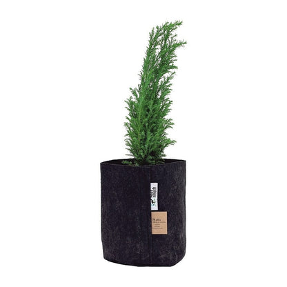 Root Pouch Black With Healthy Growing Plant