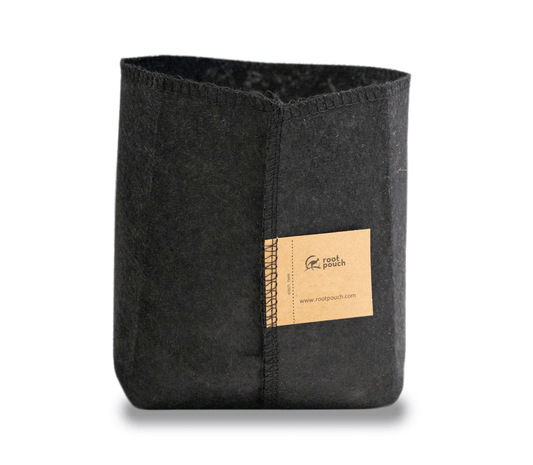 Single Root Pouch Thin Black