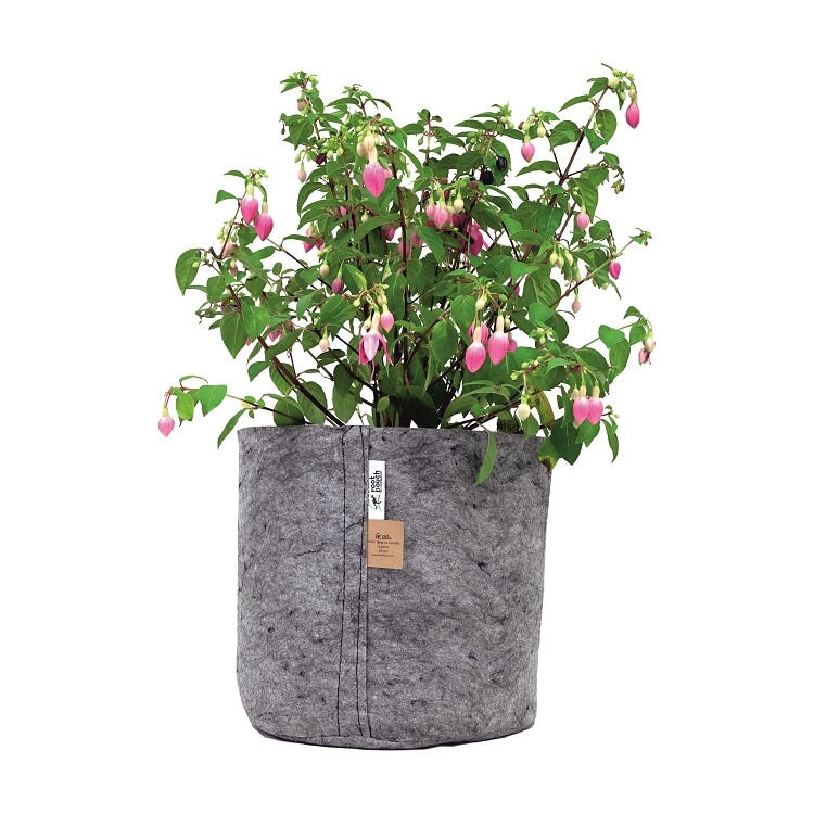 Root Pouch Grey With Healthy Plant