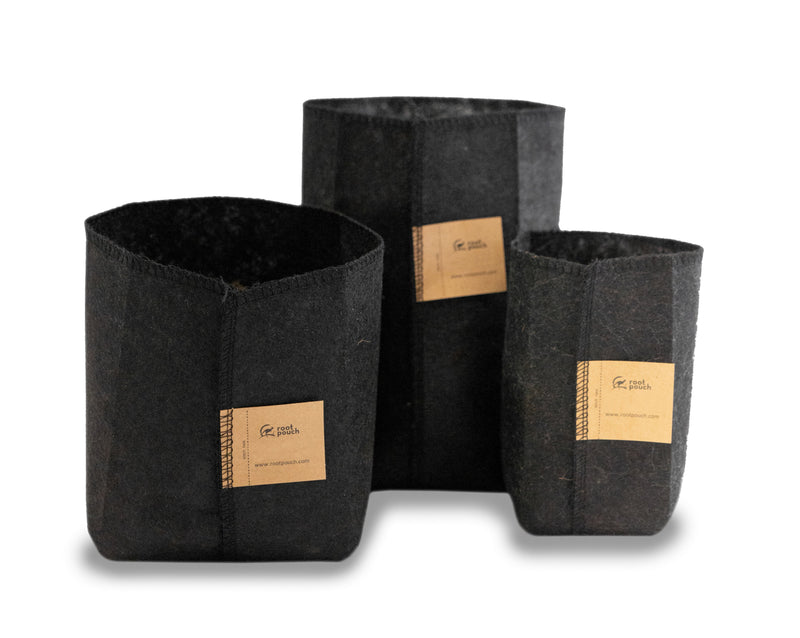 Varying Range of Root Pouch Thin Black